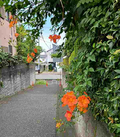 画像を挿入してください
